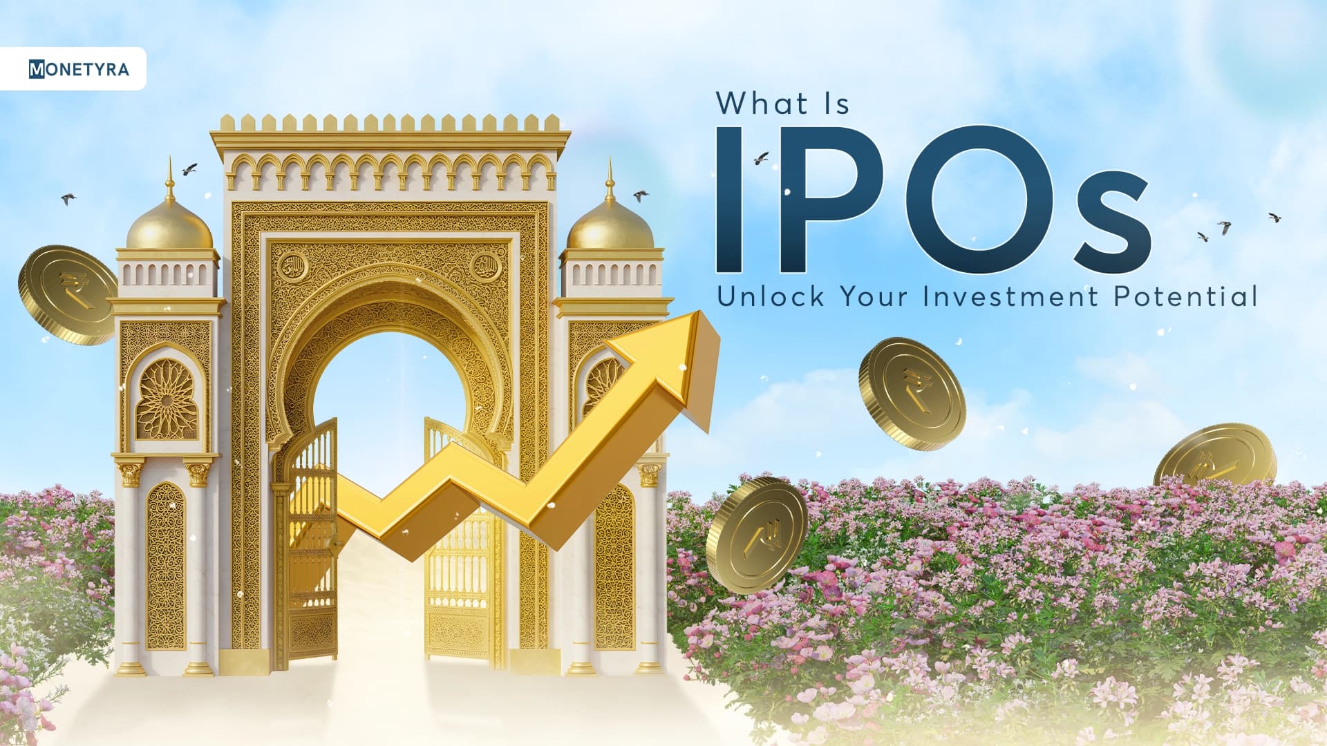 what is IPO in India
