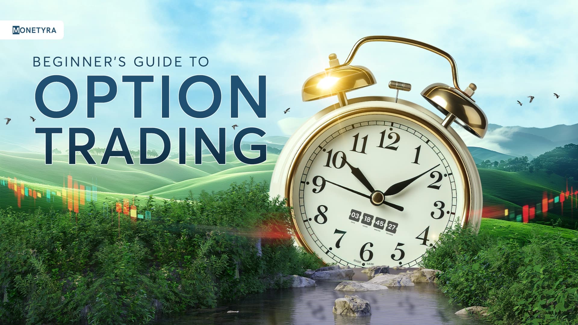 what is option trading strategies